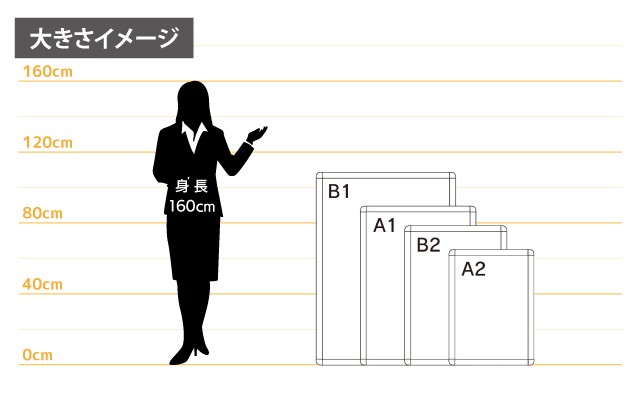 女性とのサイズ比較