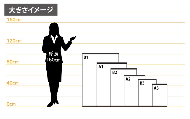 女性とのサイズ比較