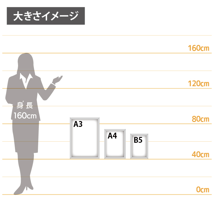 女性とのサイズ比較