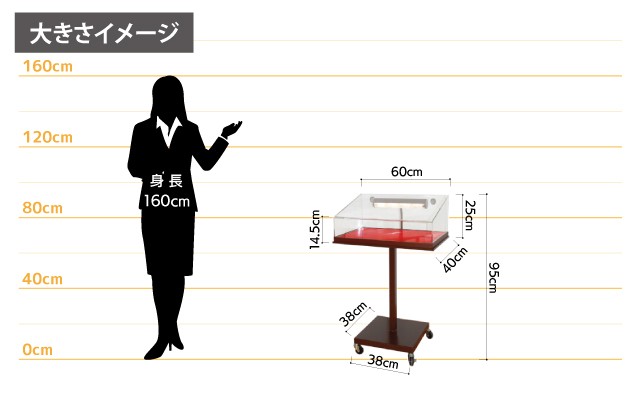 女性とのサイズ比較