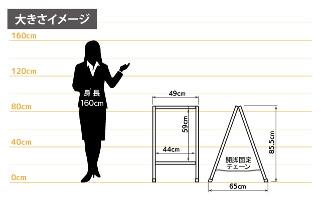 女性とのサイズ比較