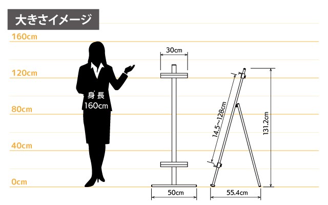 女性とのサイズ比較