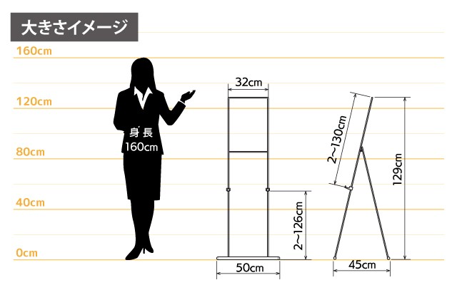 女性とのサイズ比較