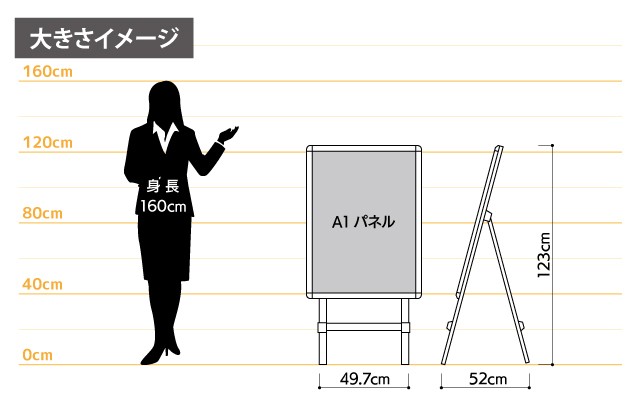 女性とのサイズ比較