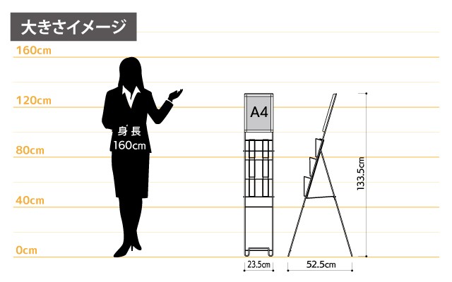 女性とのサイズ比較