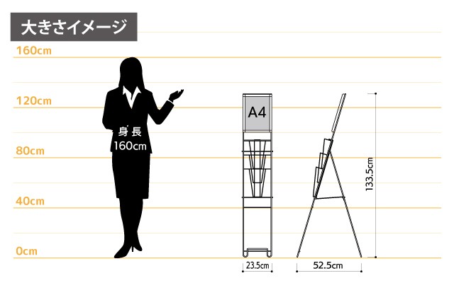 女性とのサイズ比較
