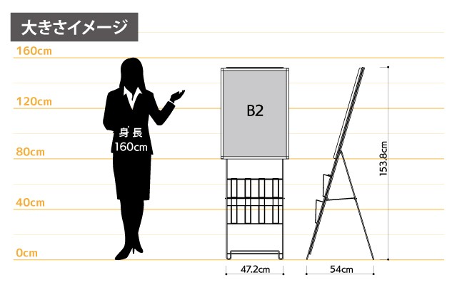 女性とのサイズ比較