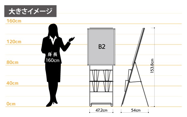 女性とのサイズ比較