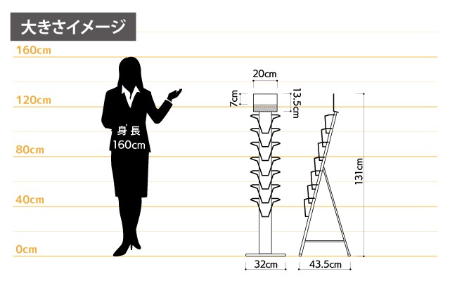 女性とのサイズ比較