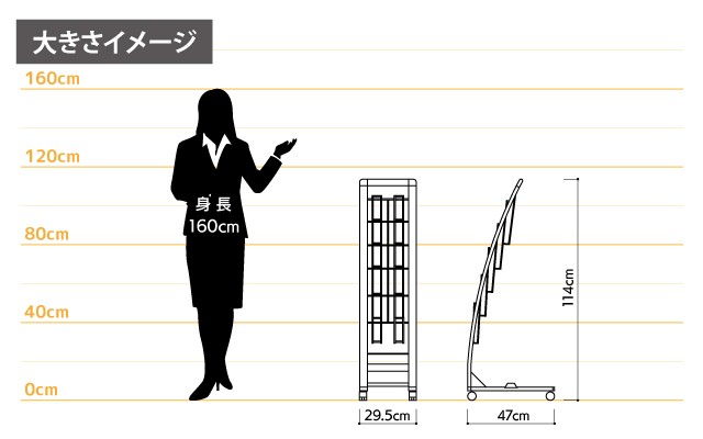 女性とのサイズ比較