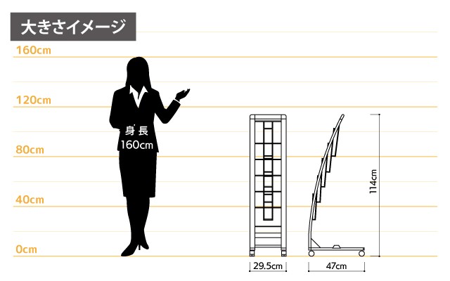 女性とのサイズ比較