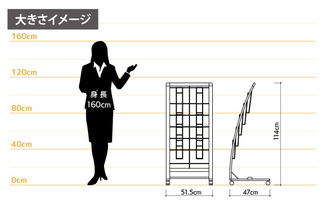 女性とのサイズ比較