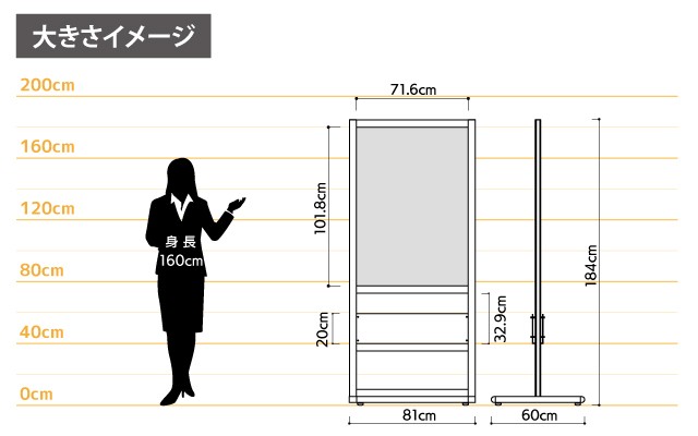女性とのサイズ比較