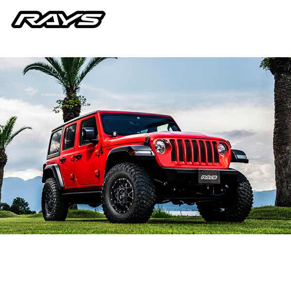 RAYS 【送料無料・4本セット】RAYS レイズ ホイール DAYTONA M8