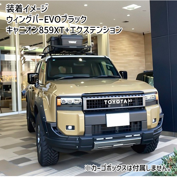 lc250-859xt-ex.jpg