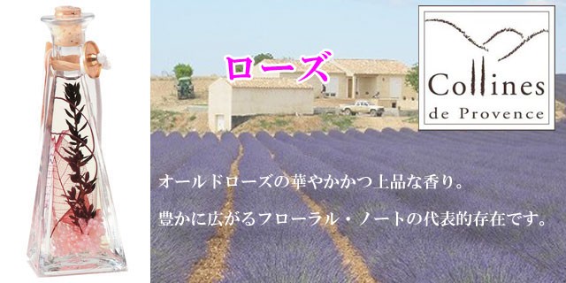 コリンヌ・ド・プロヴァンス フレグランス オイル ランプ Aシリーズ 004