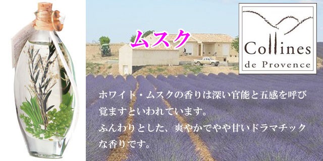 コリンヌ・ド・プロヴァンス フレグランス オイル ランプ Aシリーズ 007