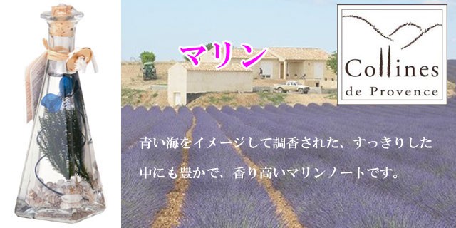 コリンヌ・ド・プロヴァンス フレグランス オイル ランプ Aシリーズ 008