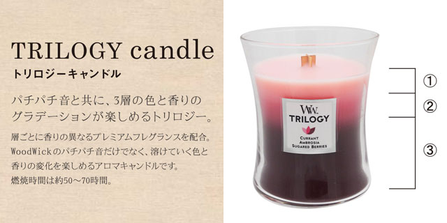 ウッドウィック Wood Wick トリロジー ジャーM 002