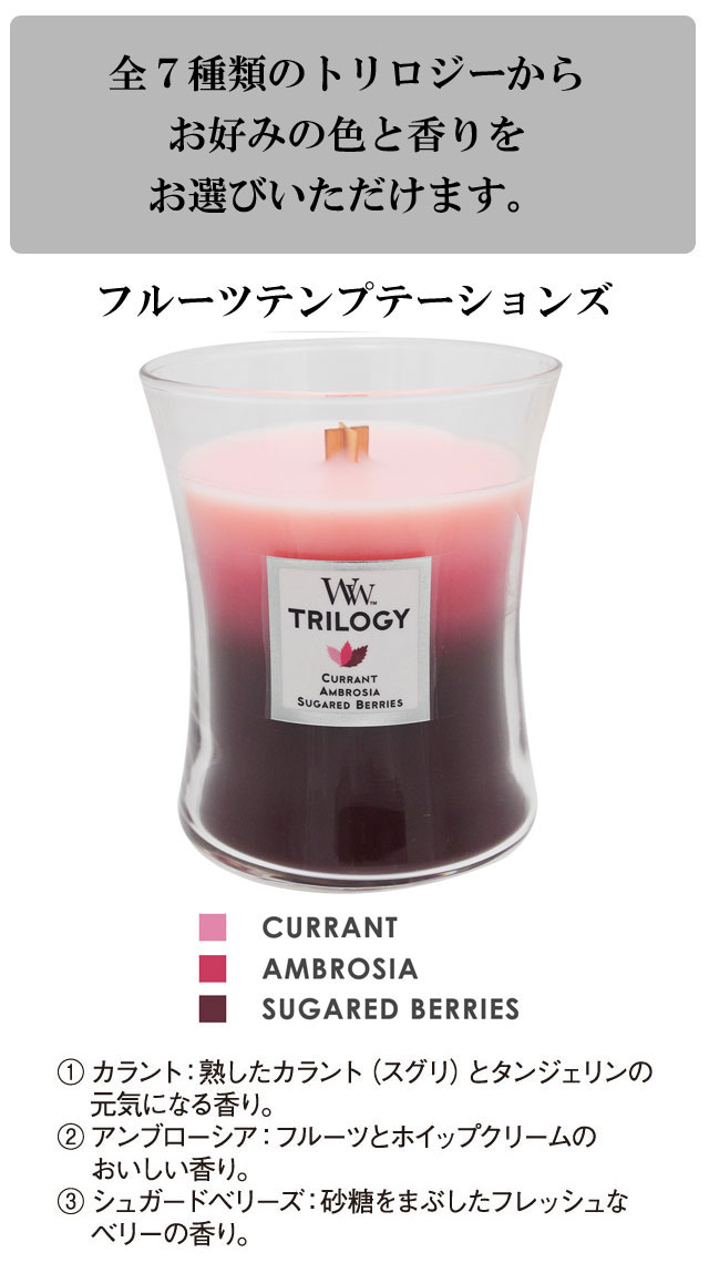 ウッドウィック Wood Wick トリロジー ジャーM 021