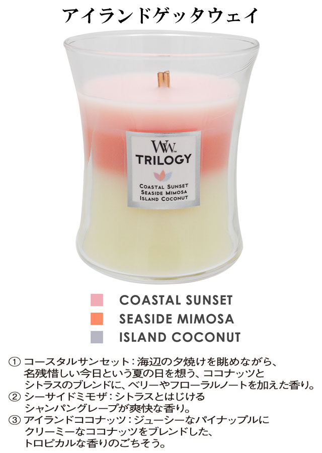 ウッドウィック Wood Wick トリロジー ジャーM 081