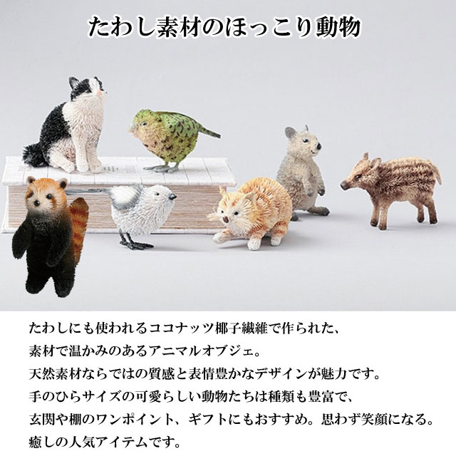 たわし アニマル レッサーパンダ M81-2597 パンダ 熊 クマ くま 置物