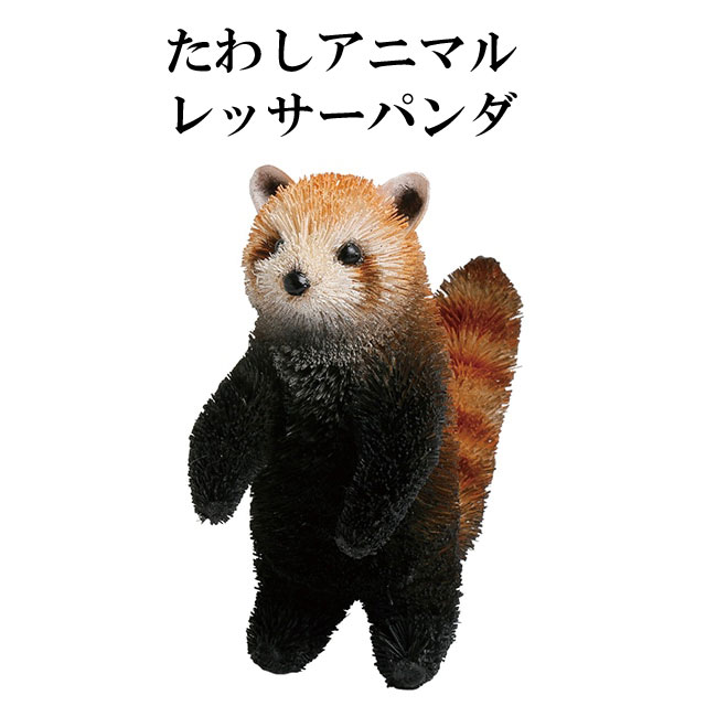 たわし アニマル レッサーパンダ M81-2597 パンダ 熊 クマ くま 置物