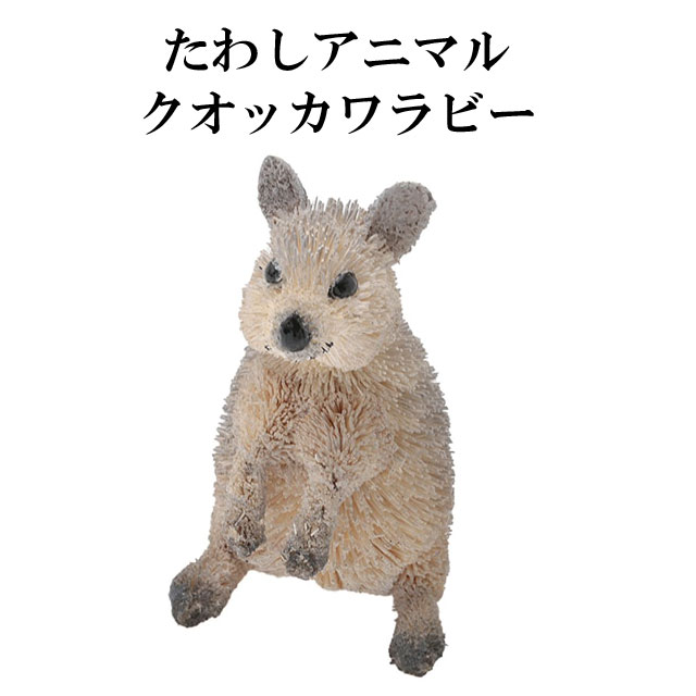 たわし アニマル クオッカワラビー M81-2601 置物 オブジェ おしゃれ