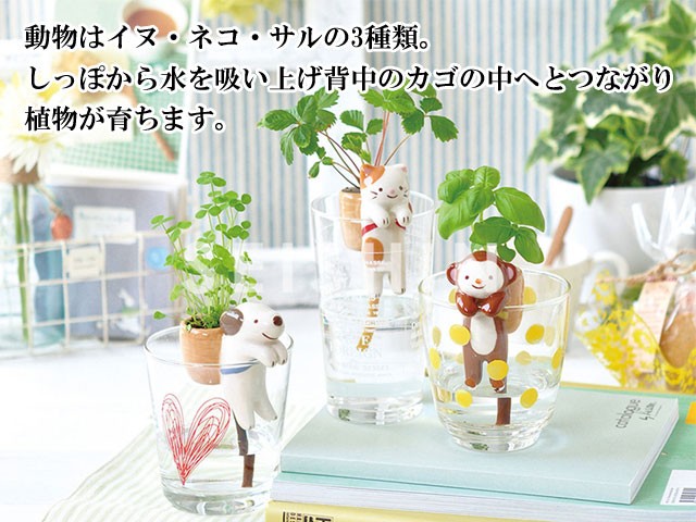 Shippon しっぽん 001
