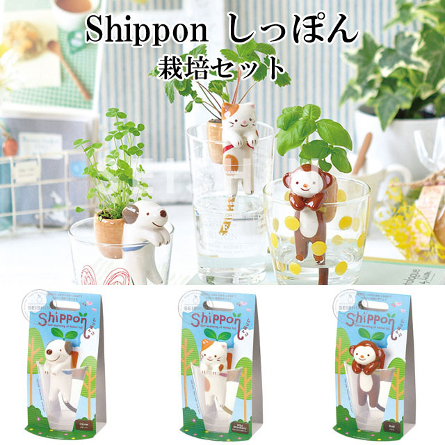 Shippon しっぽん 010