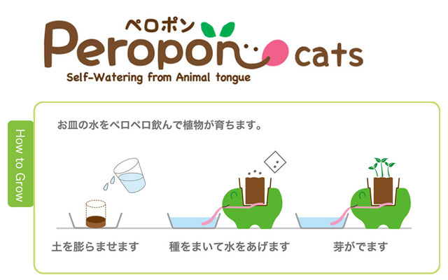 Peropon cats ペロポン キャッツ 002