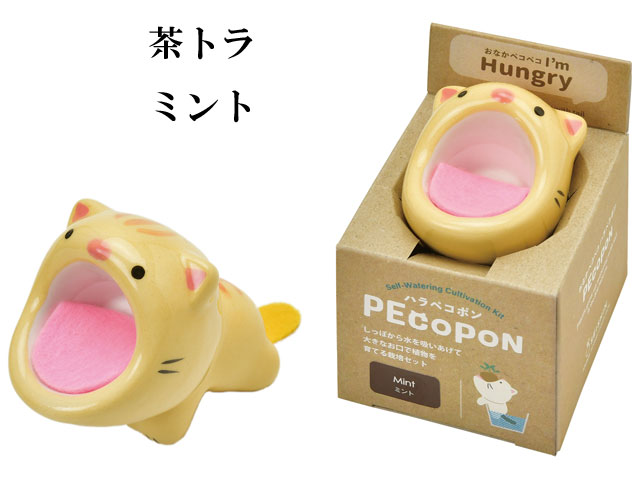 栽培セット PEcopon ハラペコポン 040