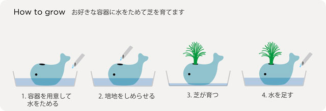 HAPPY WHALE ハッピー ホエー 002