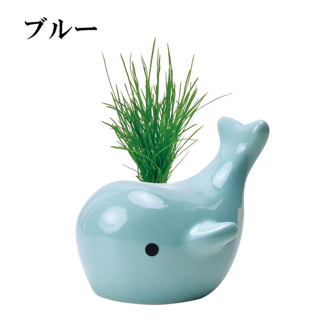 HAPPY WHALE ハッピー ホエー 020