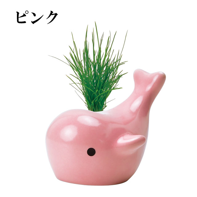 HAPPY WHALE ハッピー ホエー 030