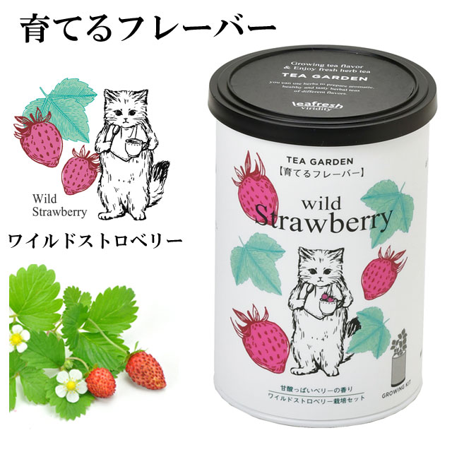 Grow Flavor 育てるフレーバー 040