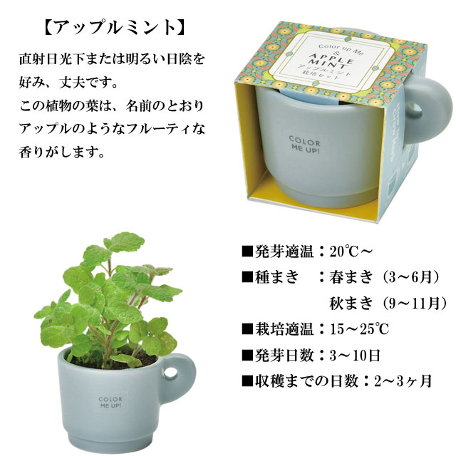 栽培キット Color me up MUG カラーミーアップマグ 020