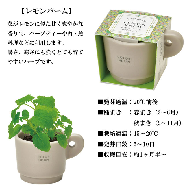 栽培キット Color me up MUG カラーミーアップマグ 030