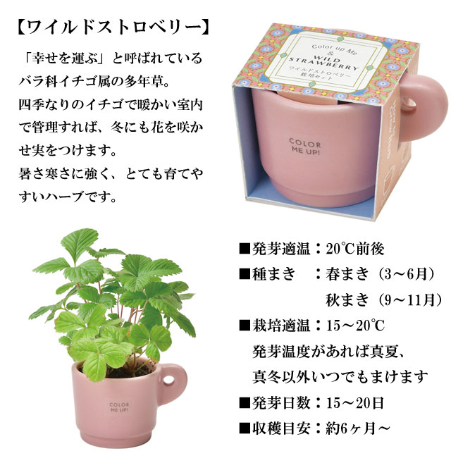栽培キット Color me up MUG カラーミーアップマグ 040