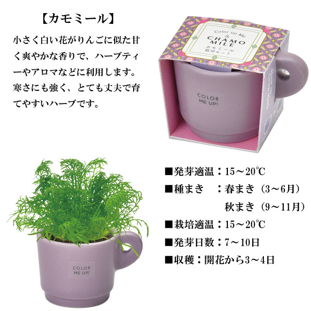 栽培キット Color me up MUG カラーミーアップマグ 050