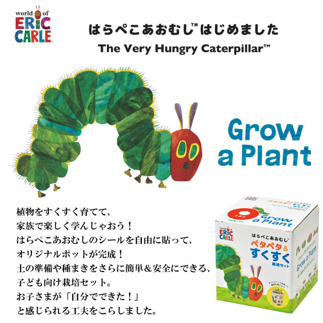 はらぺこあおむしペタペタ＆すくすく 栽培セット 0011