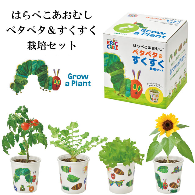 はらぺこあおむしペタペタ＆すくすく 栽培セット 010