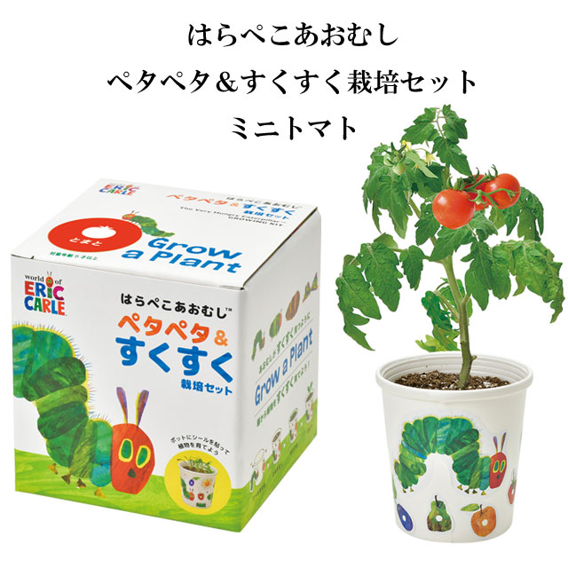 はらぺこあおむしペタペタ＆すくすく 栽培セット 0201