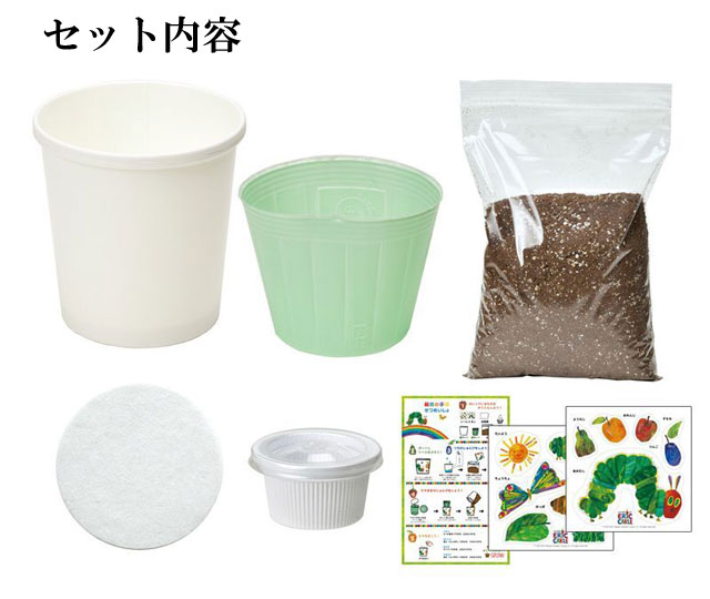 はらぺこあおむしペタペタ＆すくすく 栽培セット 030