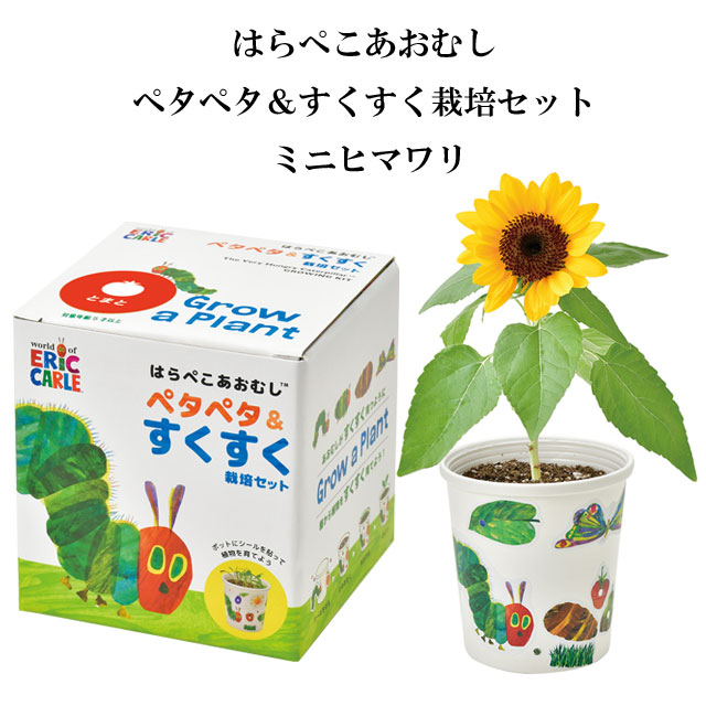 はらぺこあおむしペタペタ＆すくすく 栽培セット 0301