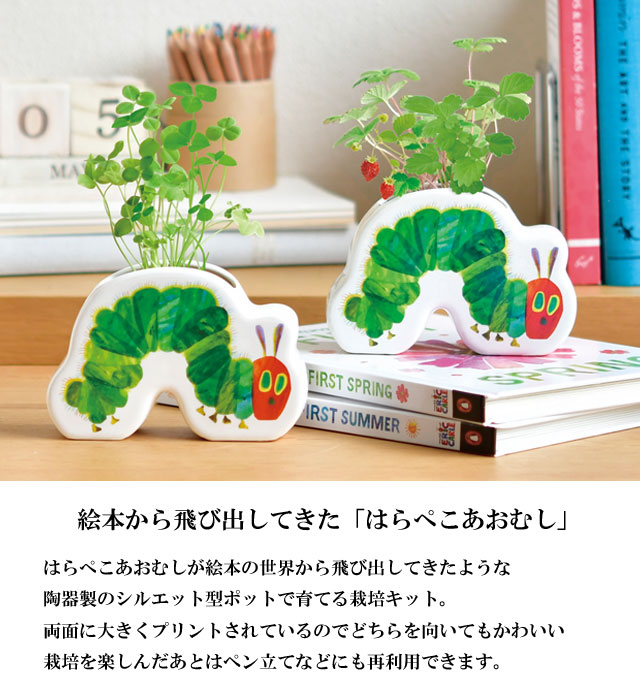 はらぺこあおむし わくわく陶器ポットガーデン 栽培セット 001