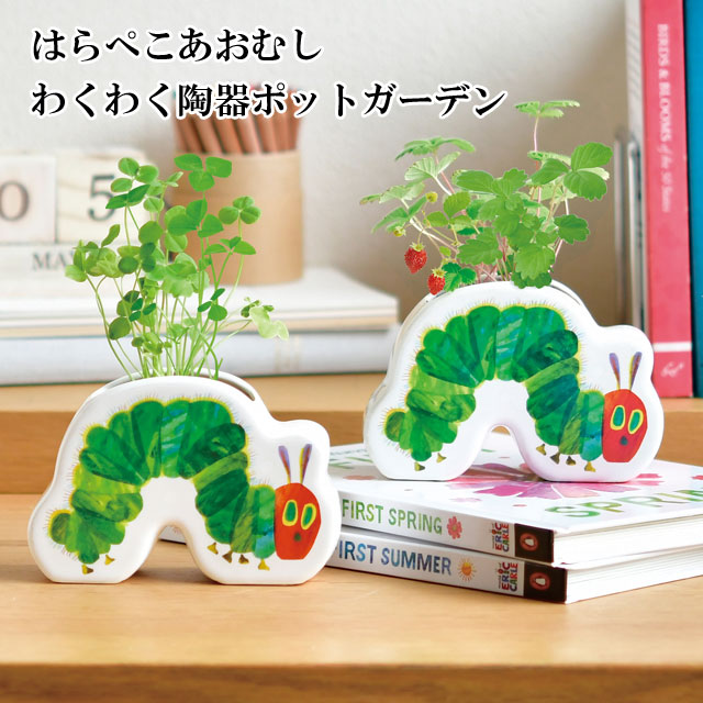 はらぺこあおむし わくわく陶器ポットガーデン 栽培セット 010