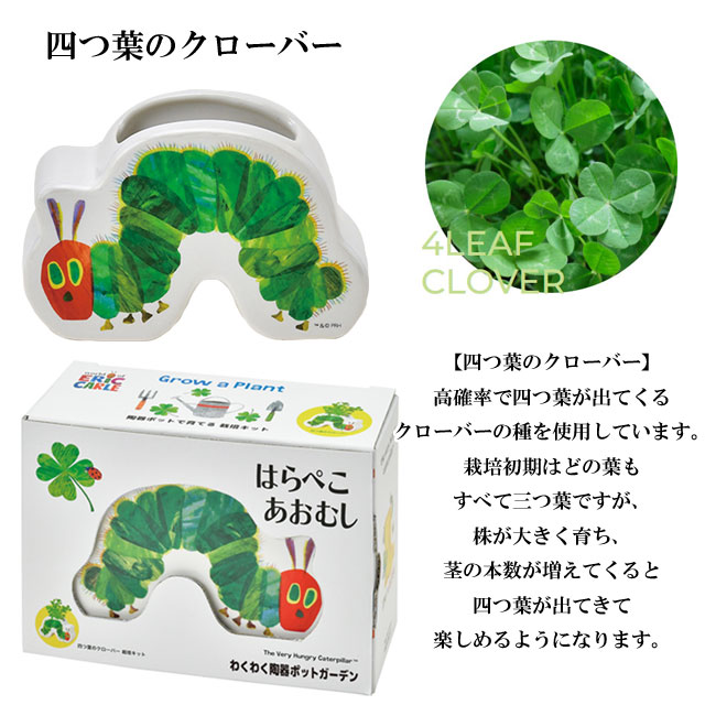 はらぺこあおむし わくわく陶器ポットガーデン 栽培セット 020