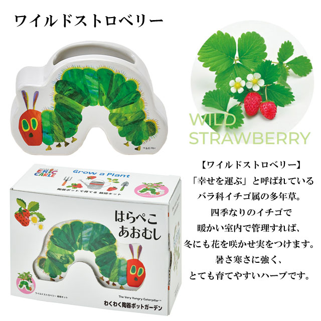 はらぺこあおむし わくわく陶器ポットガーデン 栽培セット 030
