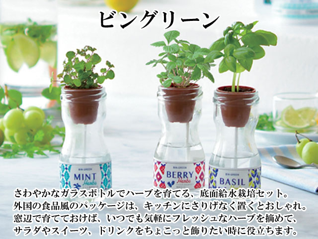 栽培キット ビングリーン 001